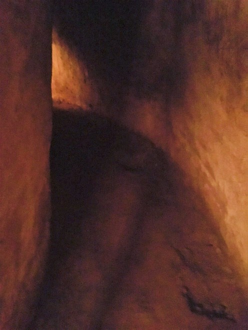 2-Jenny Rojas - Visit Cuchi Tunnel (22)